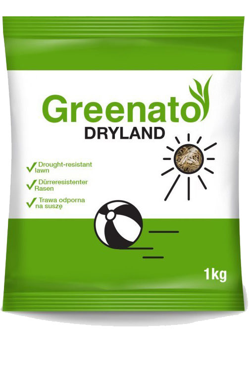 Trawa Odporna Na Susz Greenato Dryland Kg Gardenflora Pl